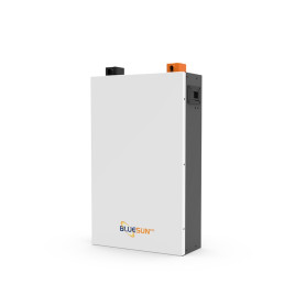 Аккумулятор  IN-THERM/BLUESUN LiFePO4 48 V 100 Ah 